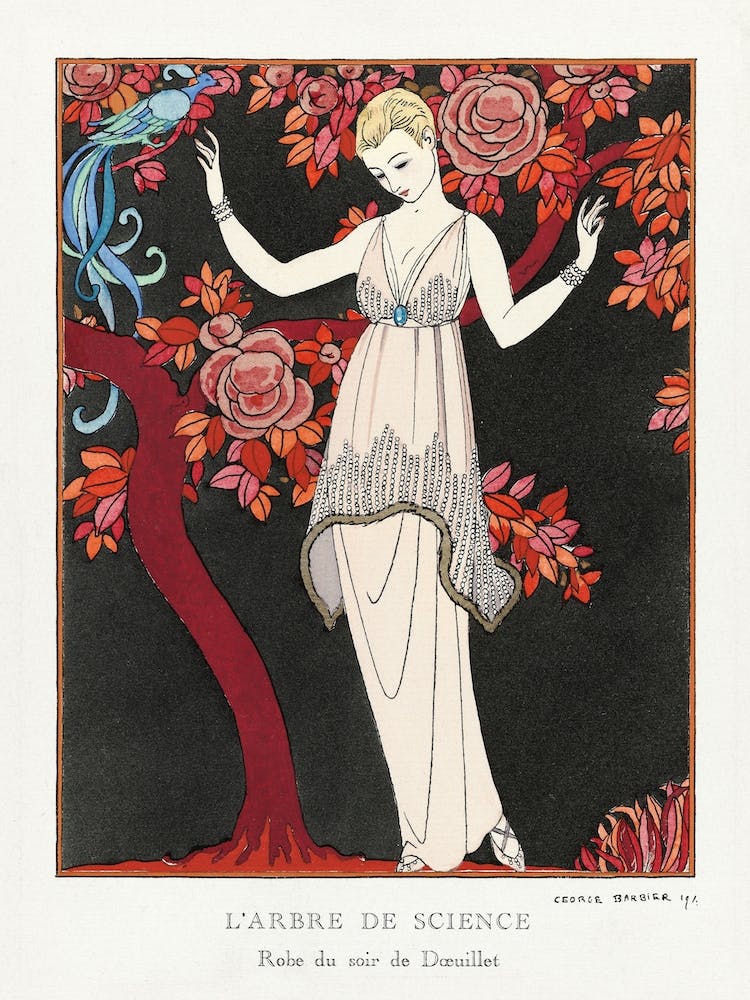 Robe Du Soir De Doeuillet; George Barbeier