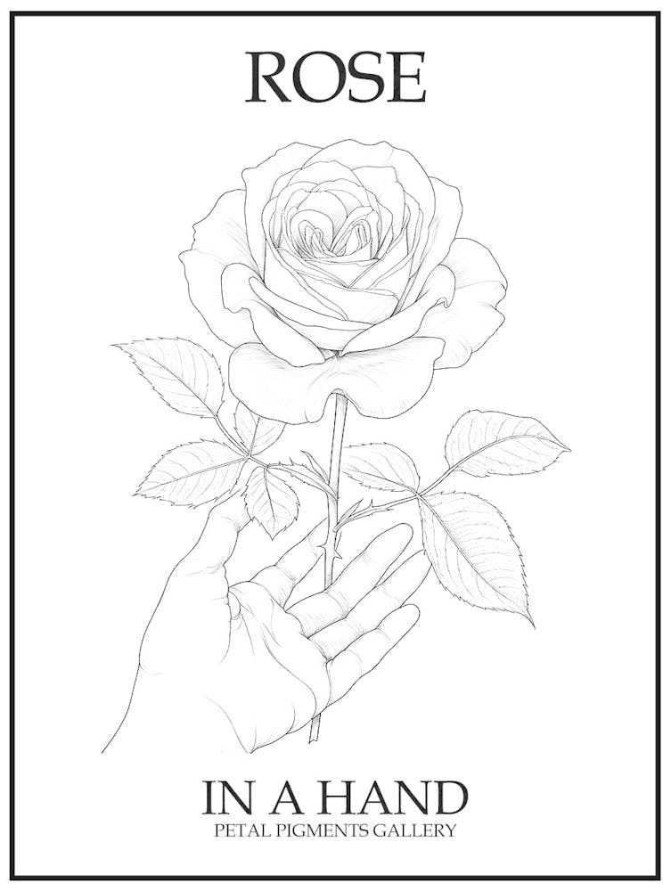 Rose In A Hand Line Drawing 2 Poster