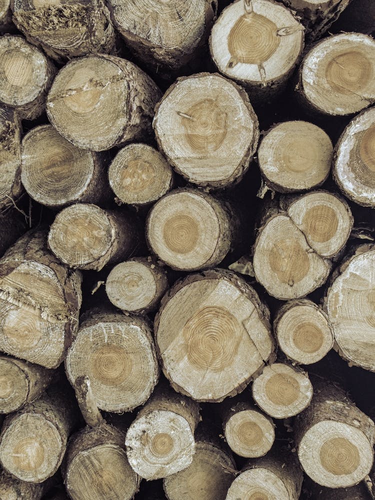 Stacked Logs