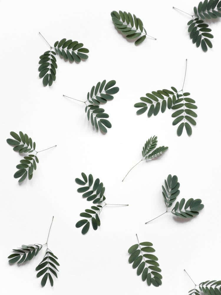 The Beauty Of Mother Nature