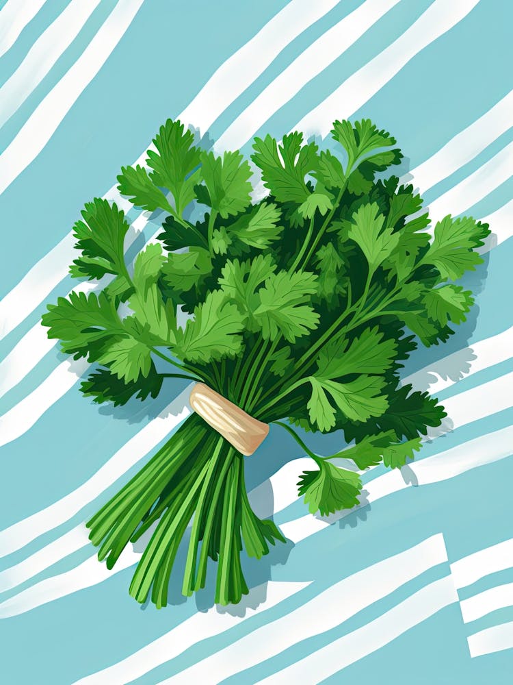 Cilantro Summer Illustration 8
