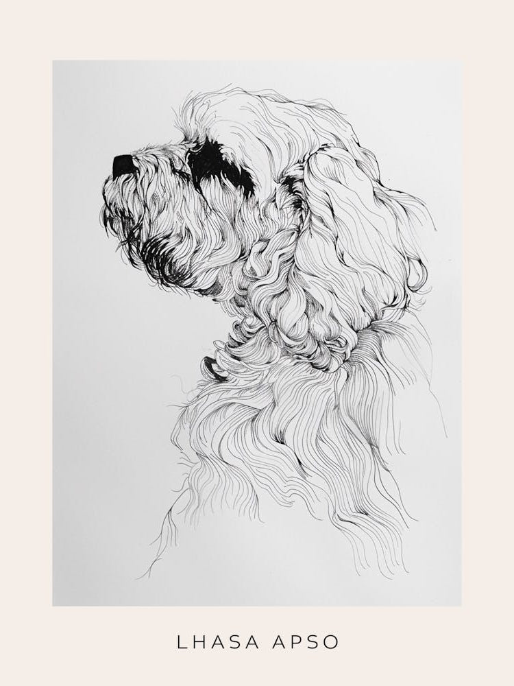 Lhasa Apso Dog Line Sketch 2 Poster