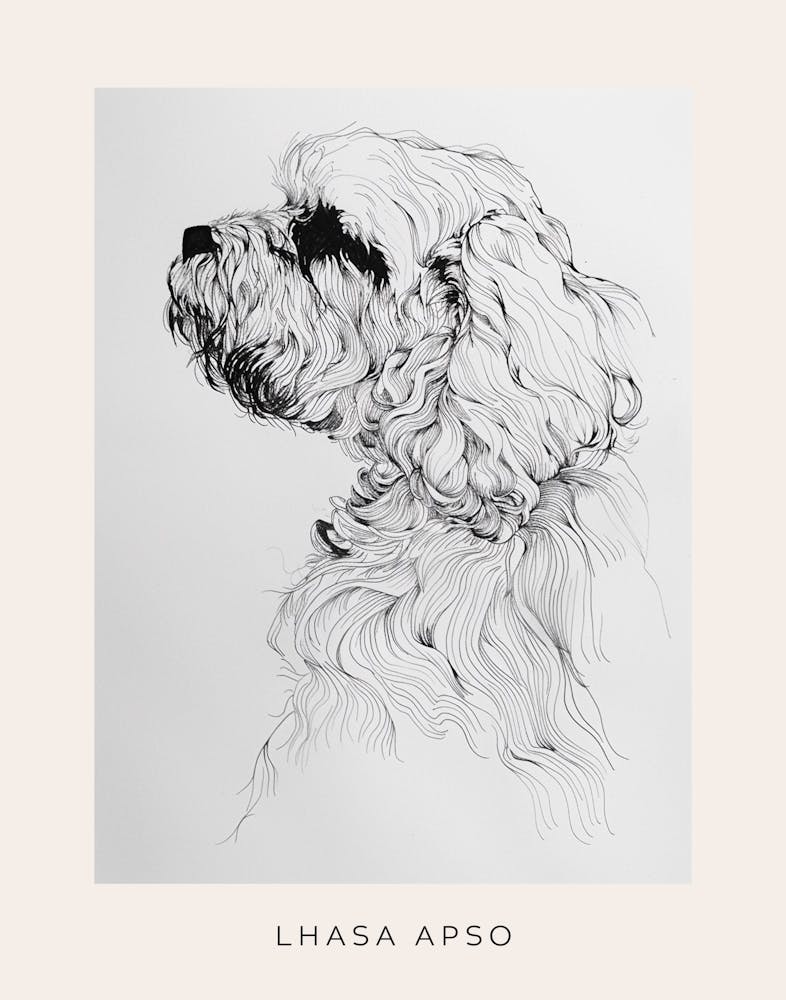 Lhasa Apso Dog Line Sketch 2 Poster