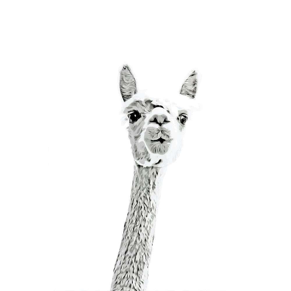 Cute Alpaca Watercolor Square