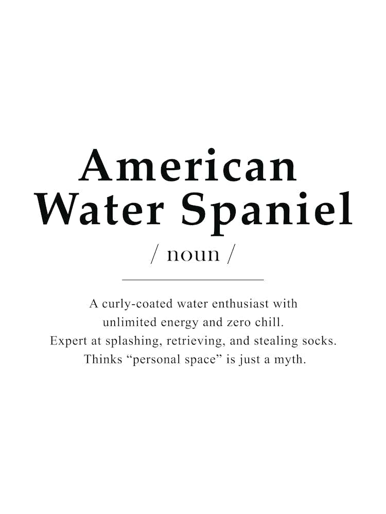 American Water Spaniel Definition Poster - Dictionary