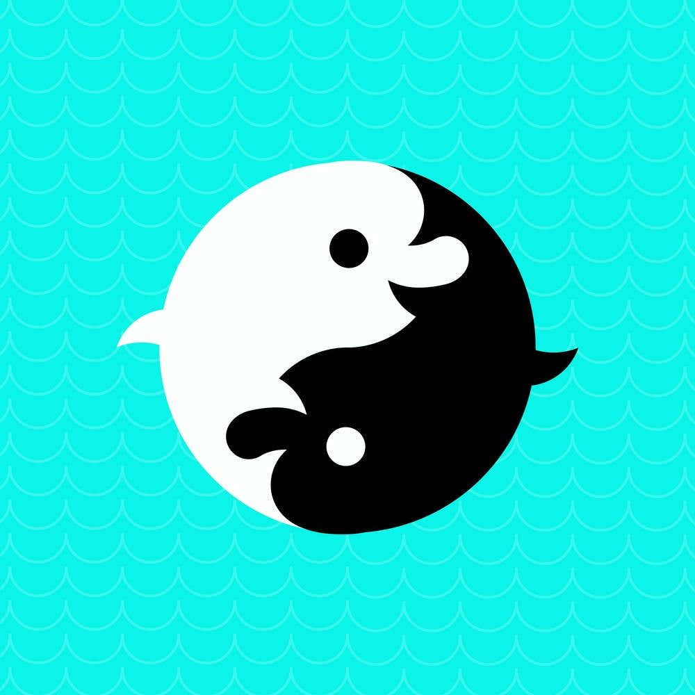 Chobopop Yinyang Dolphins