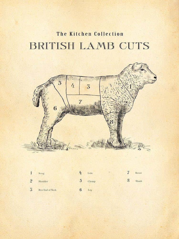 British Lamb Cuts Butcher Chart