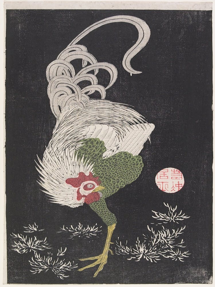 Rooster (18th Century), Itō Jakuchū