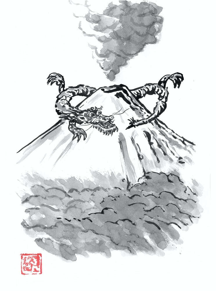 Fuji Dragon
