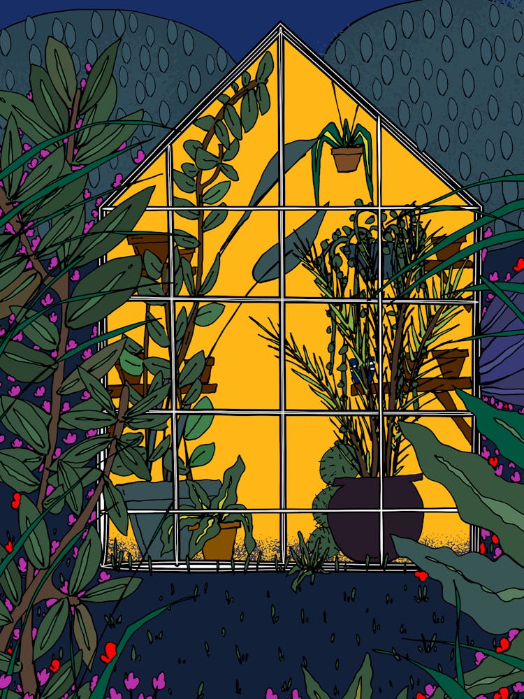 Greenhouse At Night