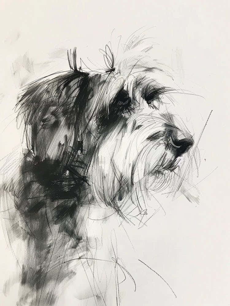 Bearded Collie Dog Charcoal Line 1