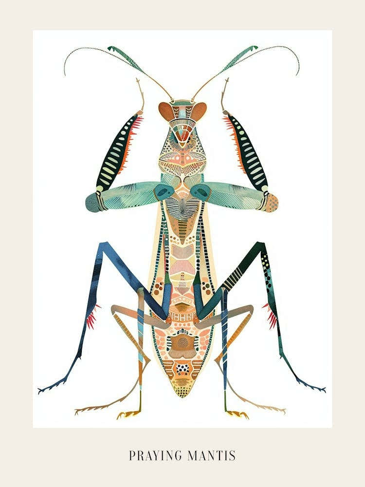 Colourful Insect Illustration Praying Mantis 15 Poster