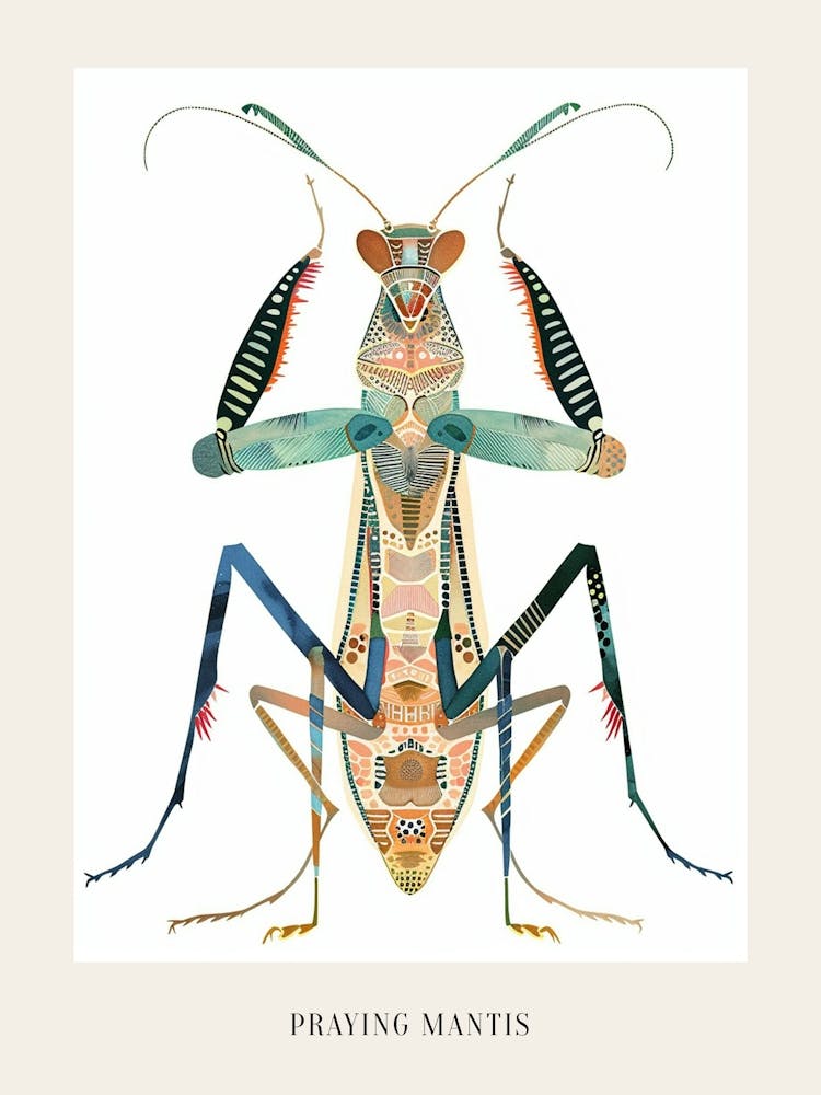Colourful Insect Illustration Praying Mantis 15 Poster