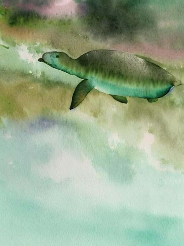 Dugong Storybook Watercolour