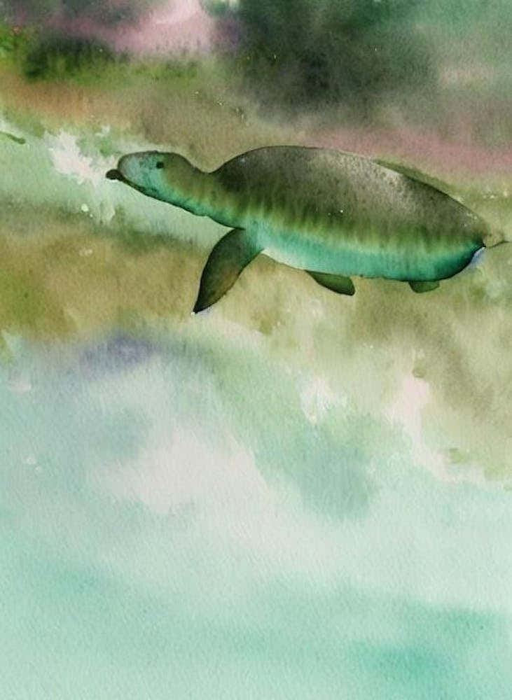 Dugong Storybook Watercolour