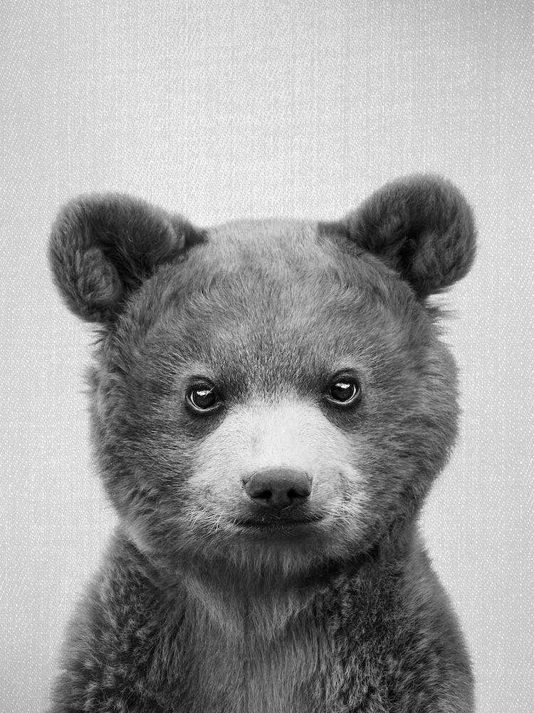 Baby Bear - Black & White