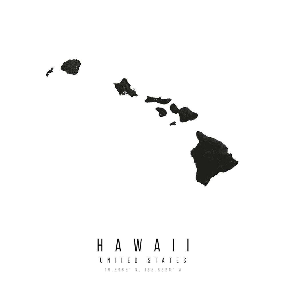 Hawaii Mono Black And White State Square