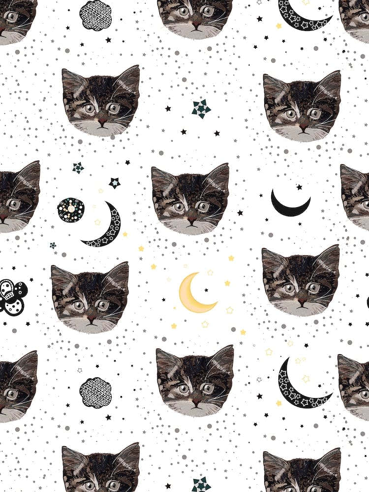 Cats And Space
