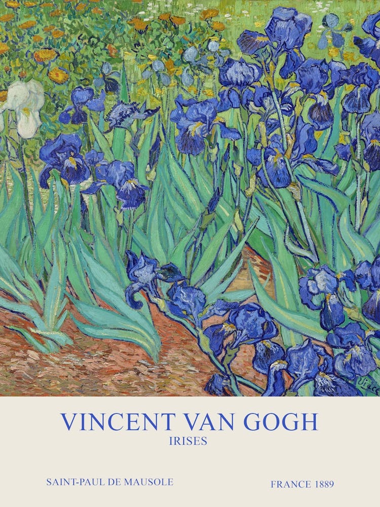 Vincent Van Gogh - Irises