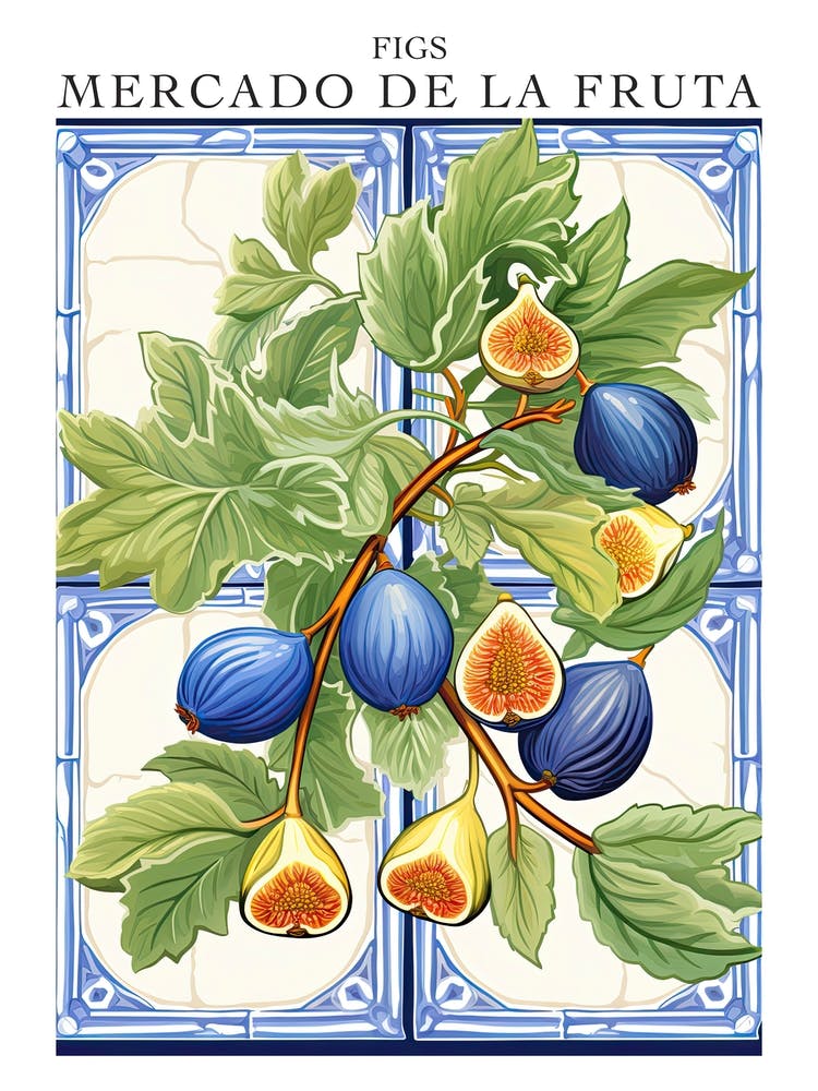 Mercado De La Fruta Figs Illustration 7 Poster