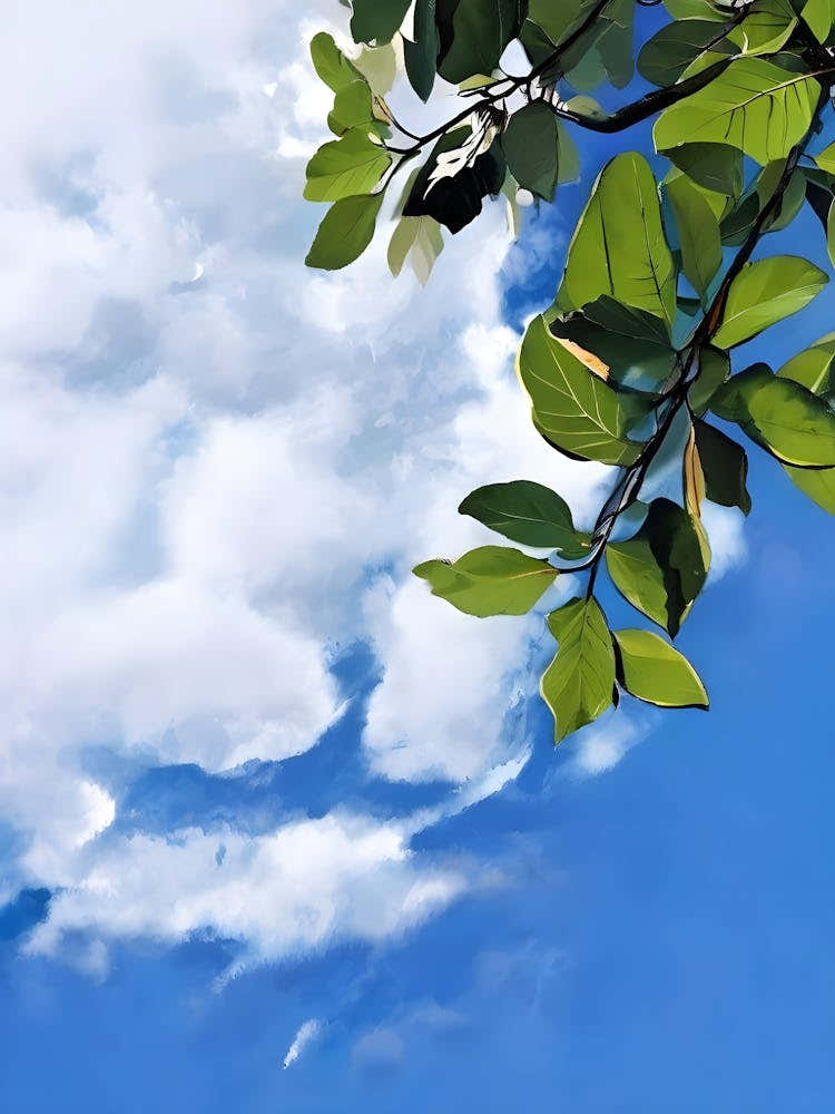 Blue Sky With Clouds 1