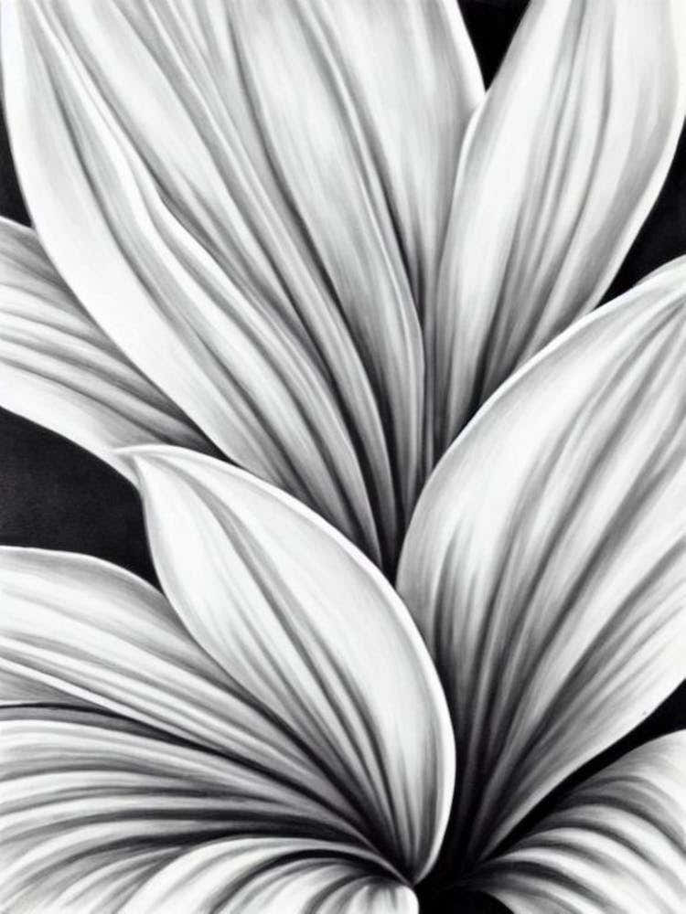 Lilies B&W Pencil 1 Flower
