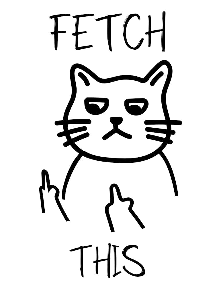 Fetch This Funny Cat