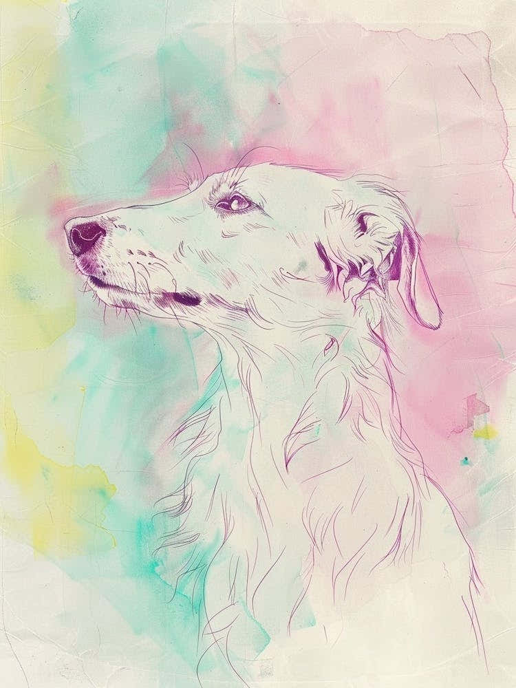 Borzoi Dog Pastel Line Watercolour Illustration  1