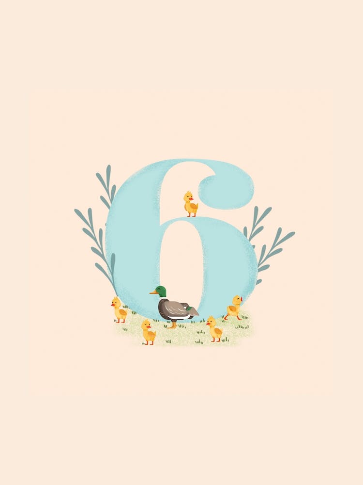 Letter 6 Ducks