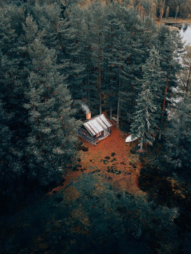 Living the dream in a remote cabin