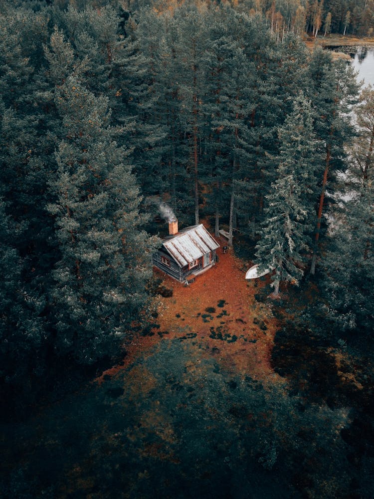 Living the dream in a remote cabin