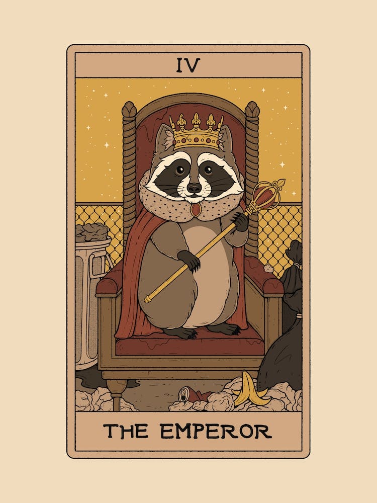 The Emperor   Raccoons Tarot