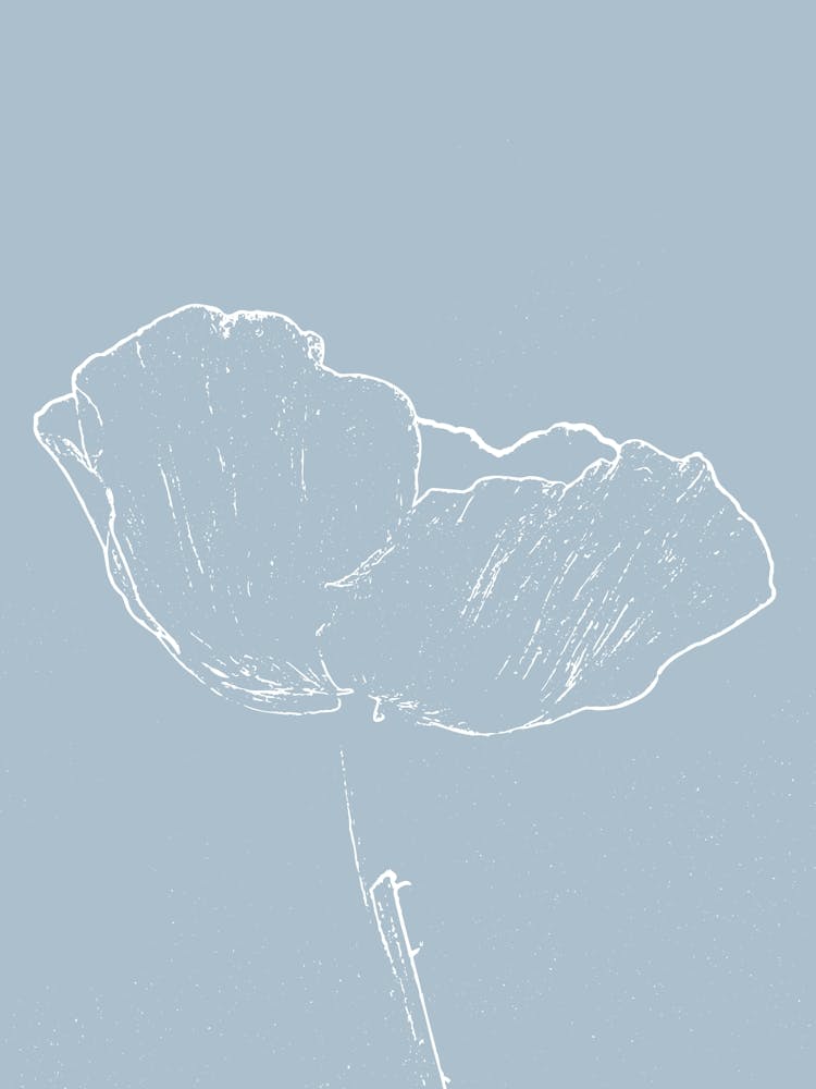 Poppy Line Drawing - Side