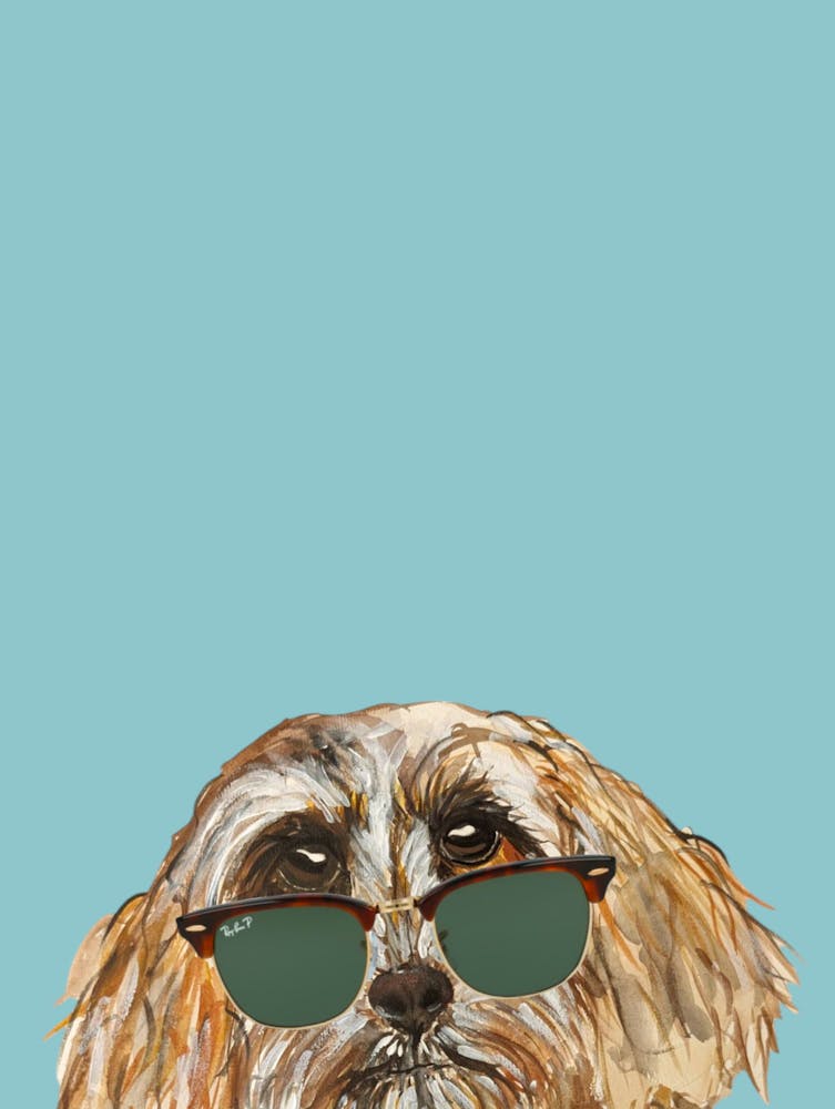 Dog with sunglasses watercolour illustration