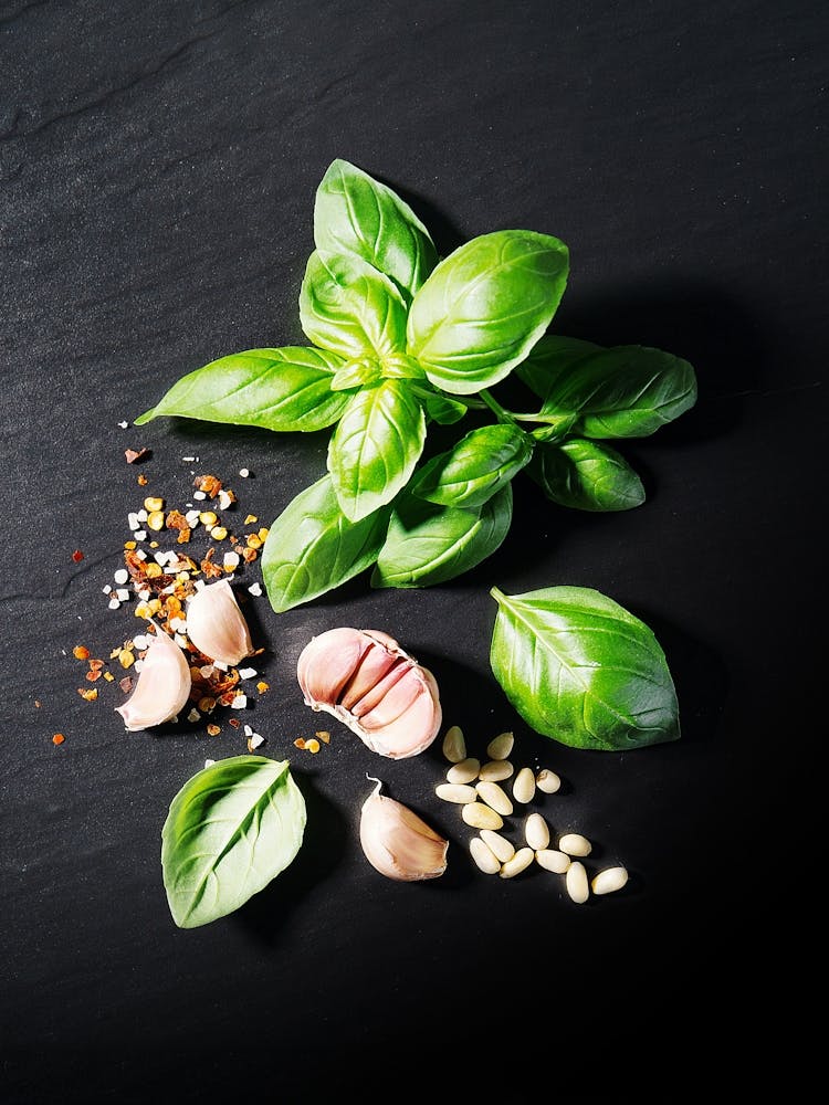 Garlic and basil (Italian, Spanish cuisine) — Food kitchen poster/blackboard, photo art