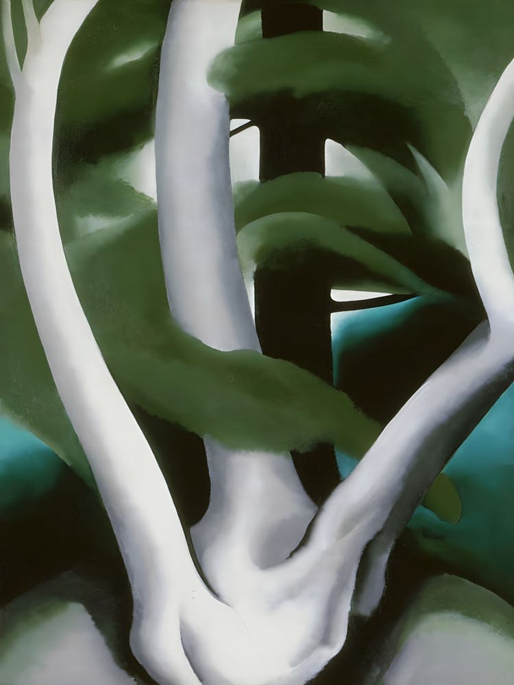 Georgia O'Keeffe - Birch and Pine Tree No. 1