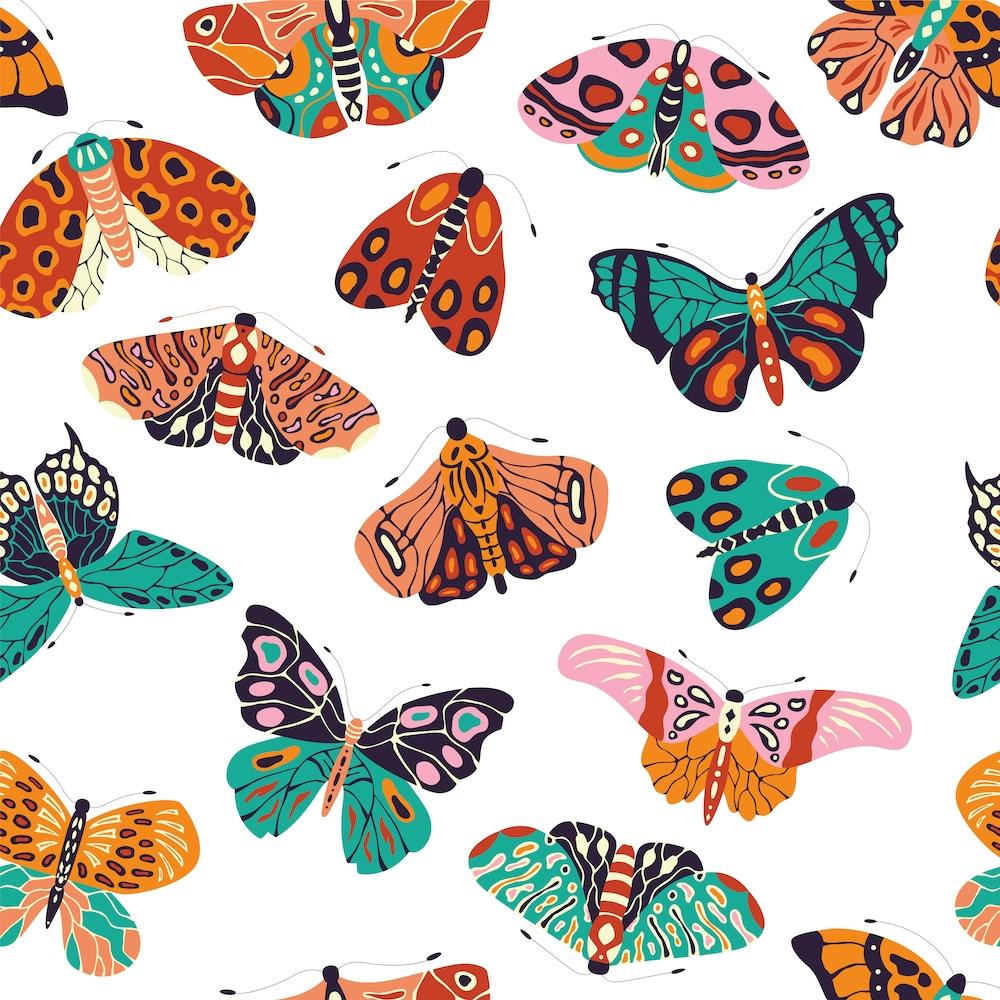 Colorful Hand Drawn Moths And Butterflies Pattern On White Square