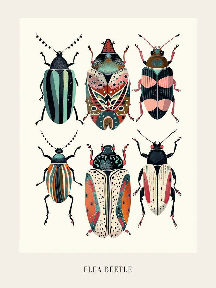 Colourful Insect Illustration Flea Beetle 11 Poster