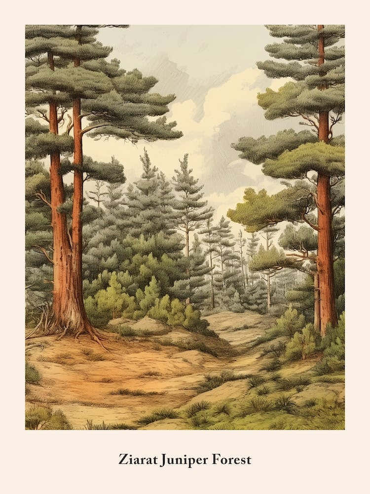 Ziarat Juniper Forest