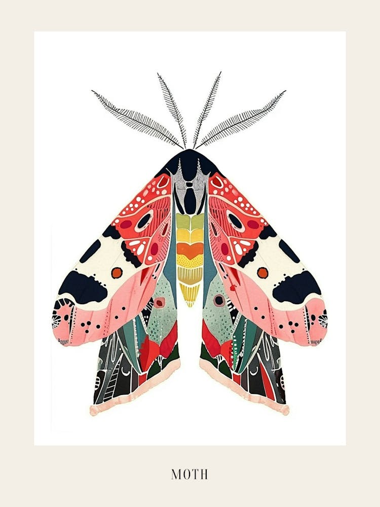 Colourful Insect Illustration Moth 44 Poster
