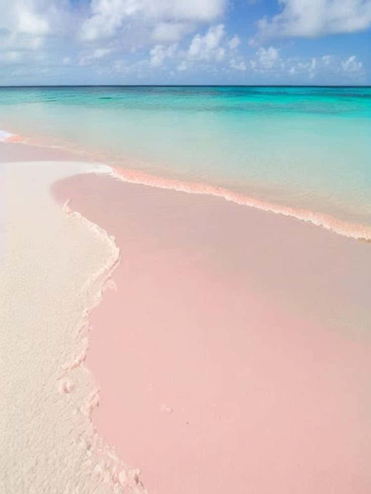 Long Bay Beach, Turks And Caicos Pink Photography