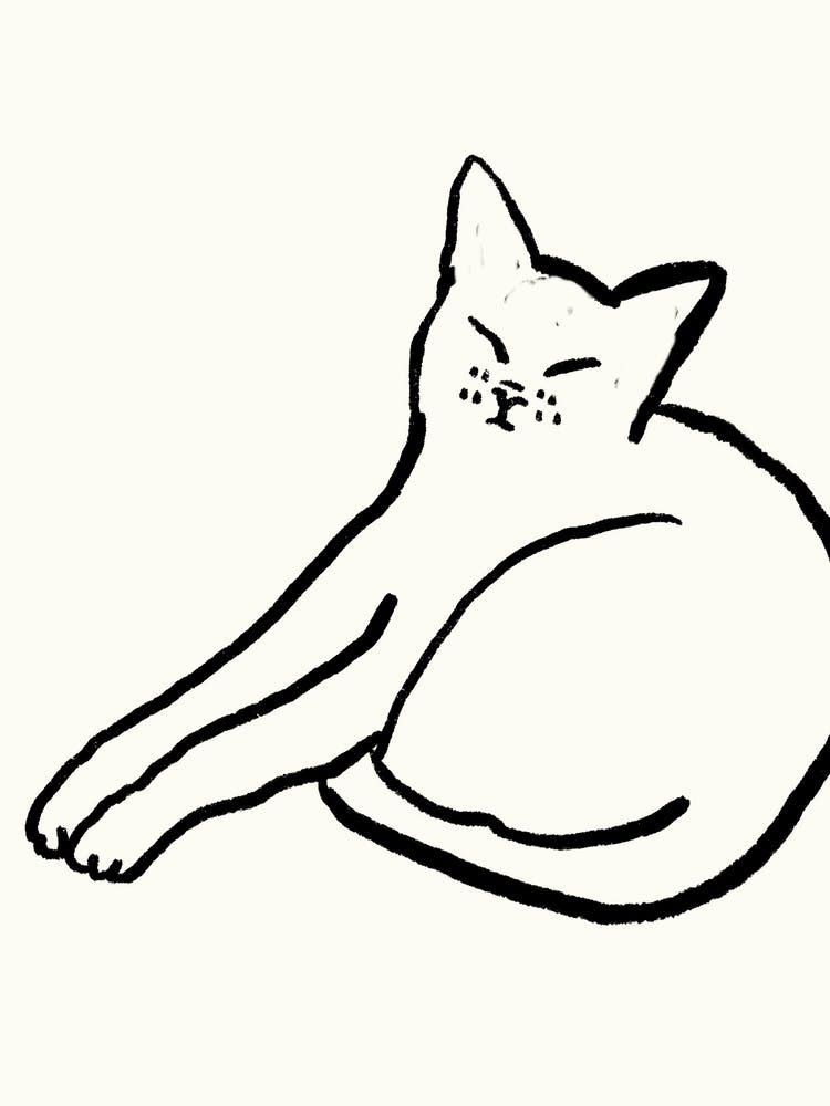 Good Morning Monochrome Cat