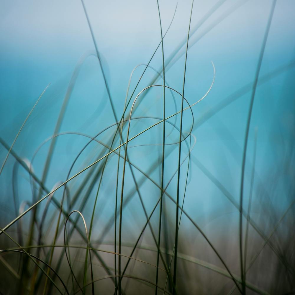 Warm Wind Cool Water 2