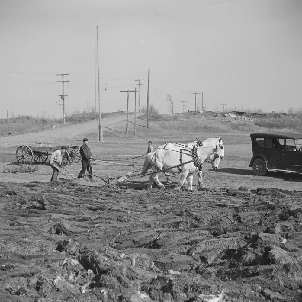 Plowing Cut Over Land Near Tipler, Wisconsin By Russell Lee