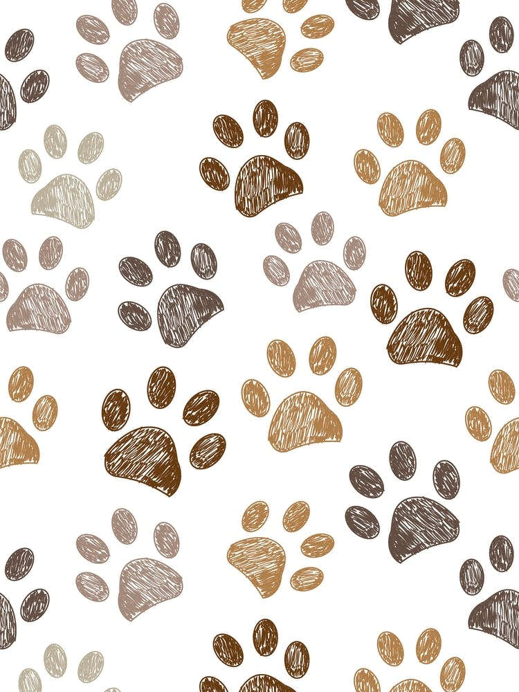 Brown Paw Prints