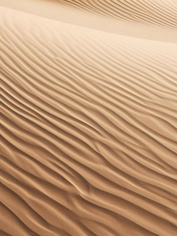 Sand Dunes In The Desert 2