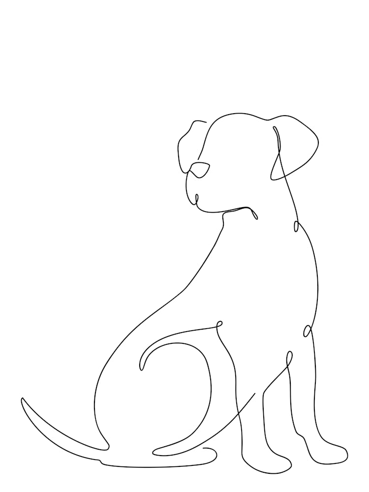 Dog Line Drawing