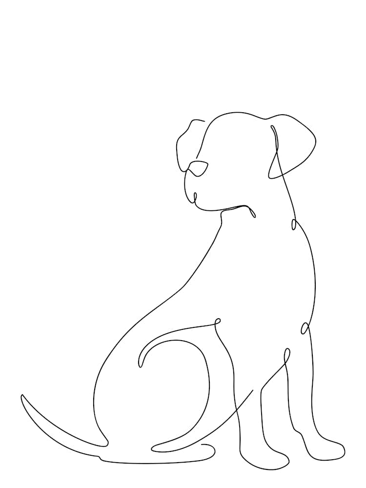 Dog Line Drawing