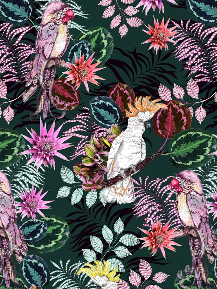 The Parrot and the Cockatoo Forest Green Print, with a Tropical Twist, Exotic Birds, Flowers and Foliage