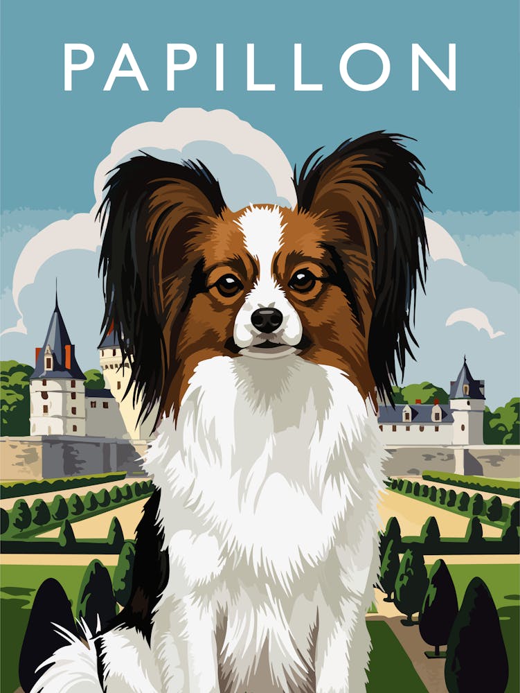 Papillon